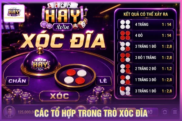 Xóc Đĩa HAYWIN - Cơ Chế Vận Hành Và Cửa Cược Phổ Biến 1 Các tổ hợp trong trò chơi xóc đĩa